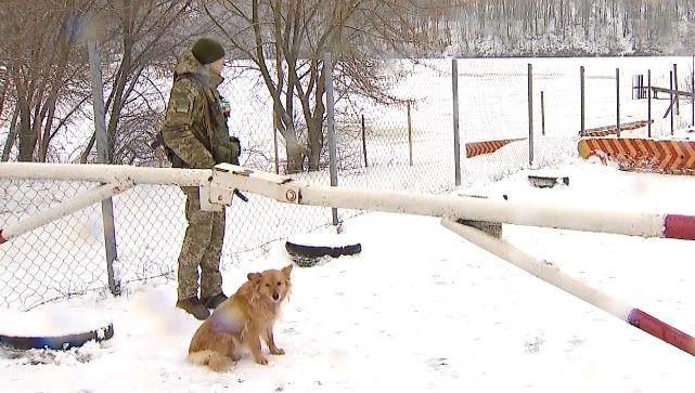 Проект Стіна: як виглядає кордон із РФ на Сумщині та Чернігівщині