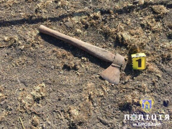 На Київщині син зарубав матір сокирою