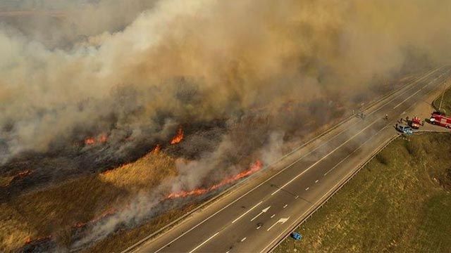 Зеленський закликав Раду посилити кримінальне покарання за спалювання сухостою