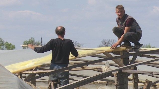 Вирвані дерева та пошкоджені будинки і теплиці: наслідки буревію на Закарпатті