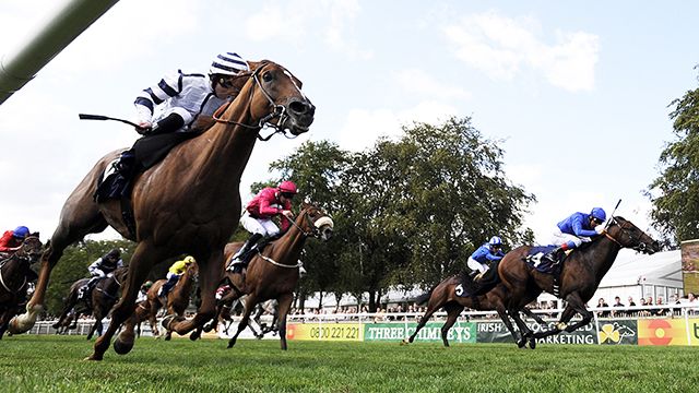 Спортсмена дисквалифицировали на 20 лет за жестокое обращение с лошадью Лошади перегоны