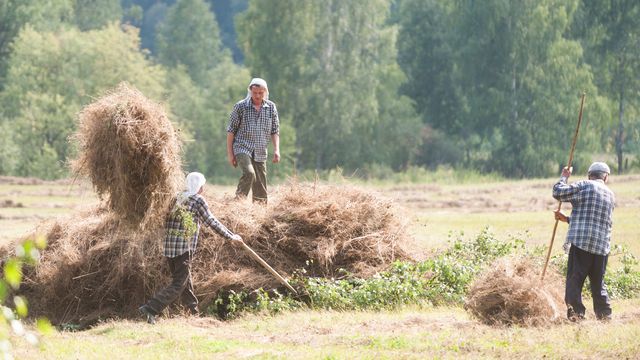 Почему в Украине затопили села ради морей и последствия