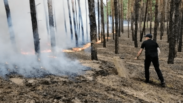 Фото: Тетяна Погукай Пожежа у Сєвєродонецьку
