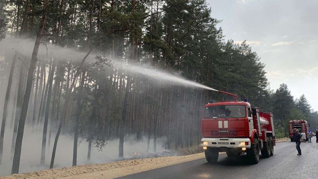 ДСНС луганська область пожежа