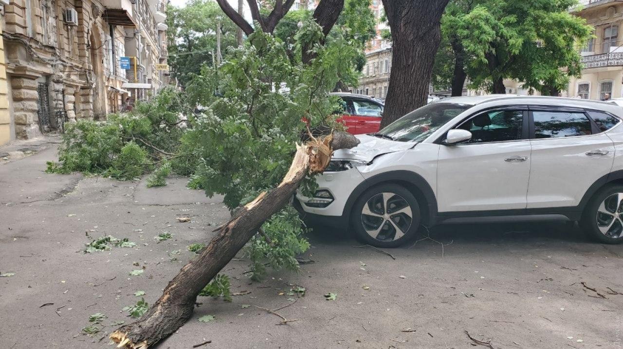 Непогода в Одессе повалила 63 дерева, пострадали люди негода в одесі
