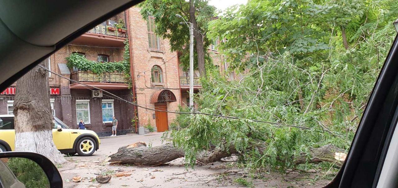 Непогода в Одессе повалила 63 дерева, пострадали люди негода в Одесі