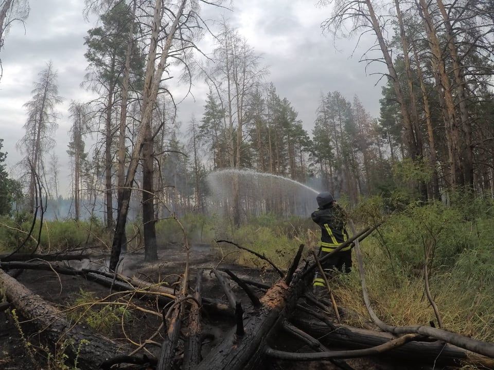 В Луганской области из-за обстрелов загорелся лес Пожар в Луганской области: горит лес