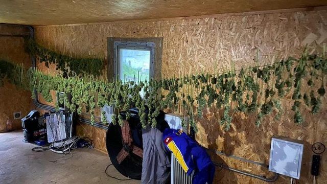 Изготовление наркотиков из конопли Изготовление наркотиков из конопли испания наказание за марихуану