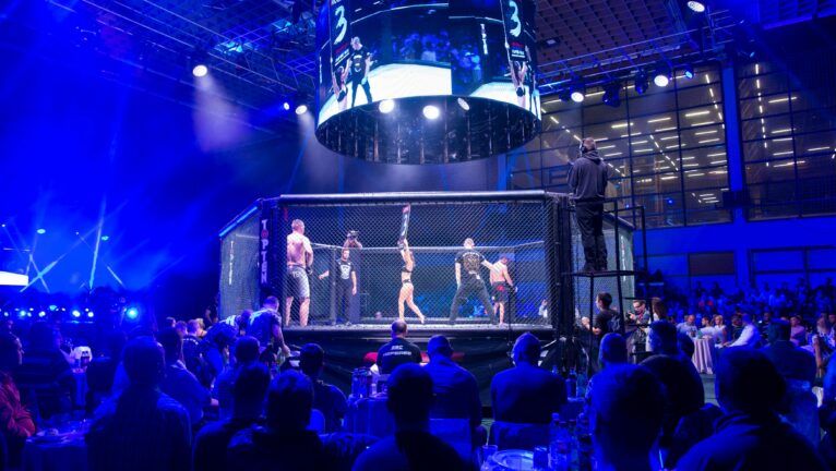 UFC MMA
