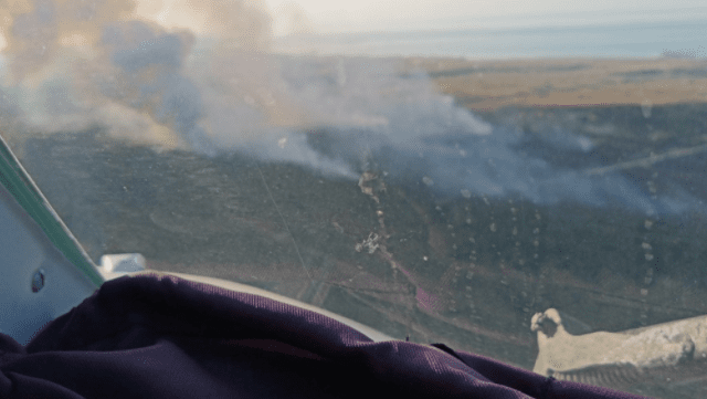 Лісову пожежу на військовому полігоні під Херсоном локалізовано Пожежа на полігоні під Херсоном