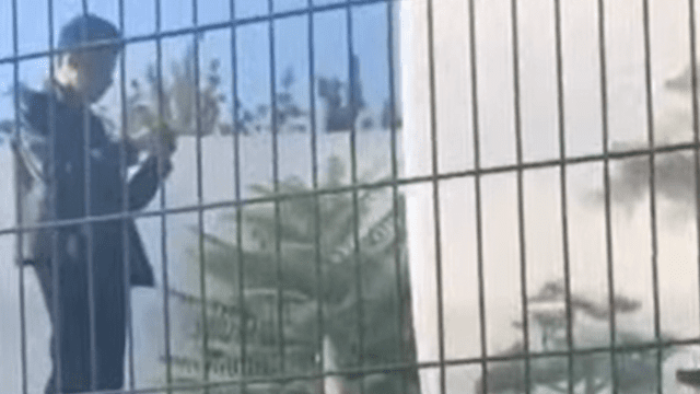 В Одесі чоловік заліз до вольєру з левами