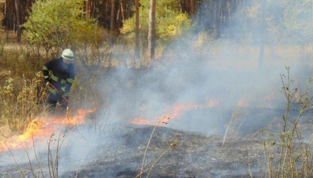 Пожежа у луганській області