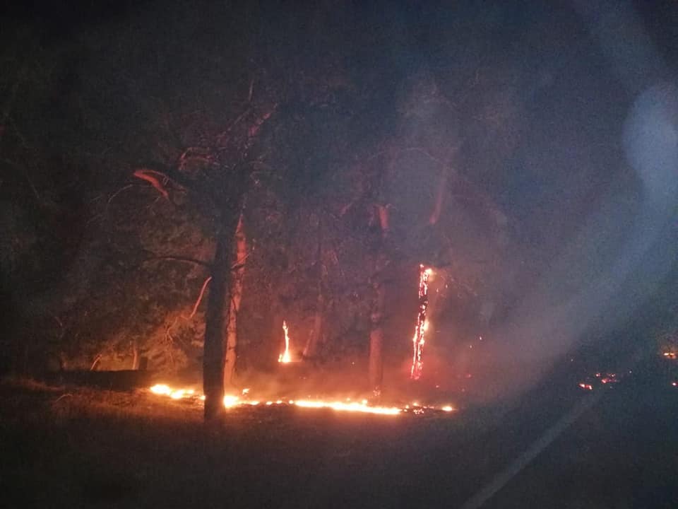фото: ДСНС Пожежа у Луганській області