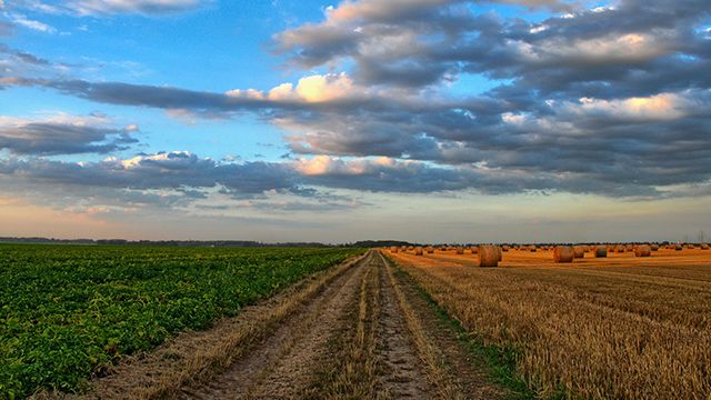 У Харківській області у майже 100 людей незаконно відібрали паї