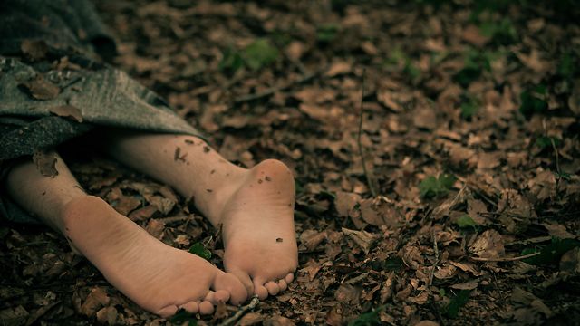 Пьяное убийство за 50 гривен: на Житомирщине суд отправил за решетку двух братьев