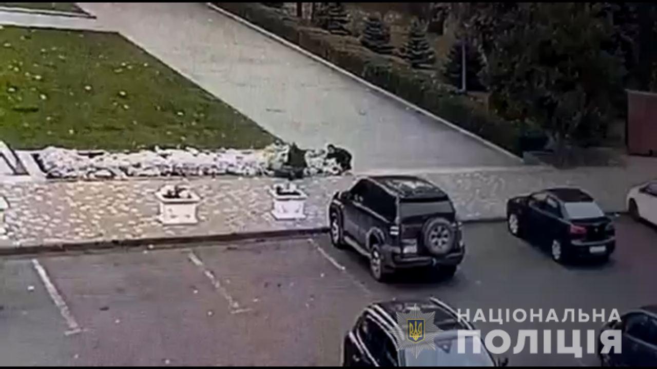 dekoratyvniroslyny