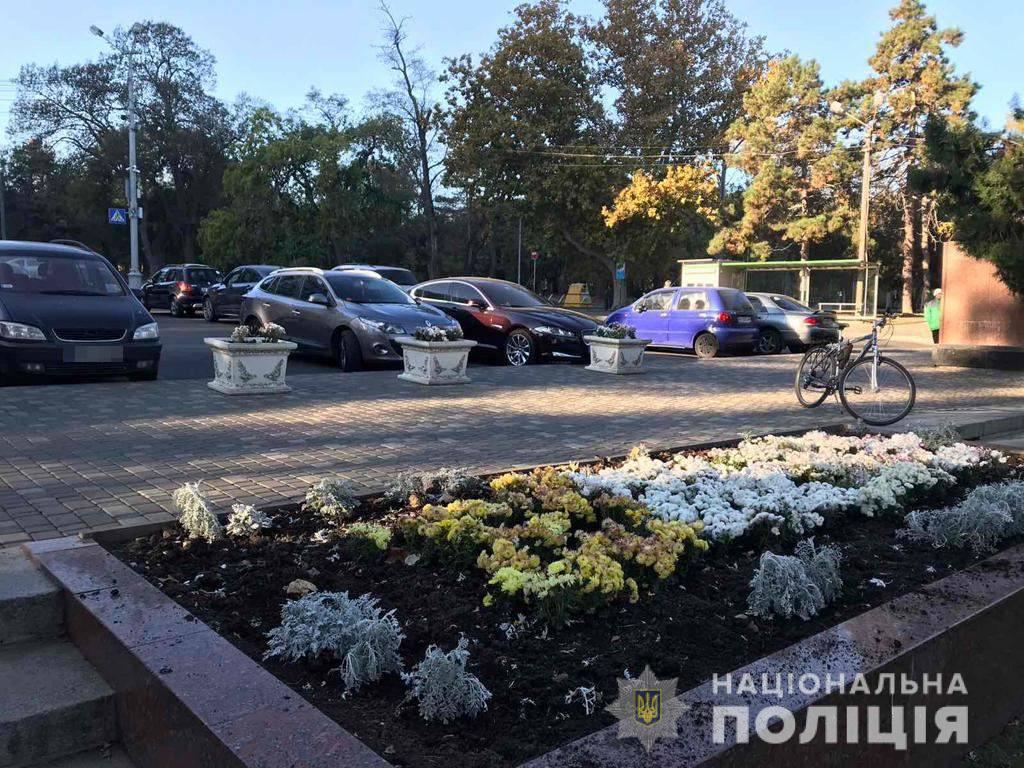 dekoratyvniroslyny_3