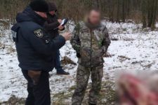 На Черниговщине охотник убил животное из Красной книги Украины На Черниговщине охотник убил животное из Красной книги Украины