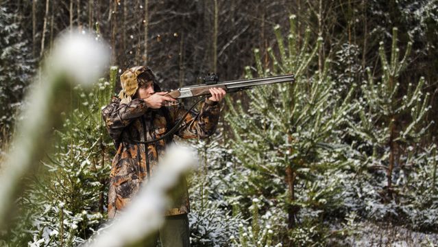 На Черниговщине браконьер убил животное из Красной книги Украины