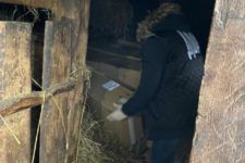На границе с Беларусью задержали контрабандистов, среди которых были пограничники СБУ задержала пограничников, которые организовали контрабанду из Беларуси