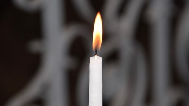 Останки виявили в лісосмузі: на Донбасі загинув військовий