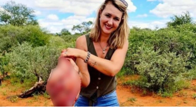 Серце жираха