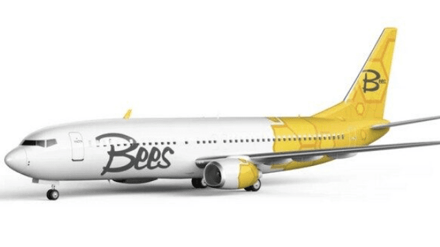 Bees Airline