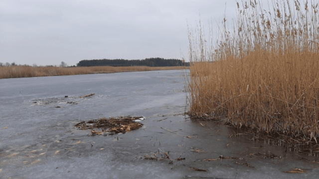 hпід Харковом потонув 15-річний хлопець