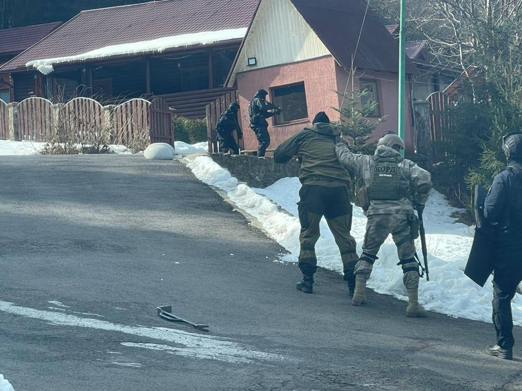 Шкура ведмедя і штори в басейні: як проходили обшуки на дачі Медведчука