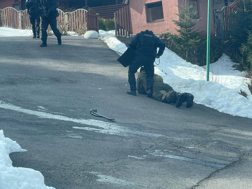 Шкура ведмедя і штори в басейні: як проходили обшуки на дачі Медведчука