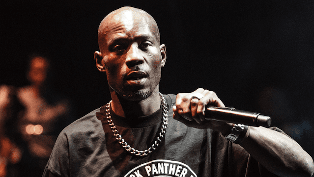 Раф райдерс dmx