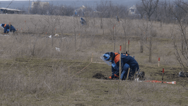 ДСНС розмінування території