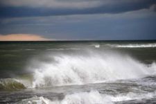 В Одесі зацвіло Чорне море, у воді – токсична бактерія В Одесі зацвіло Чорне море, у воді – токсична бактерія