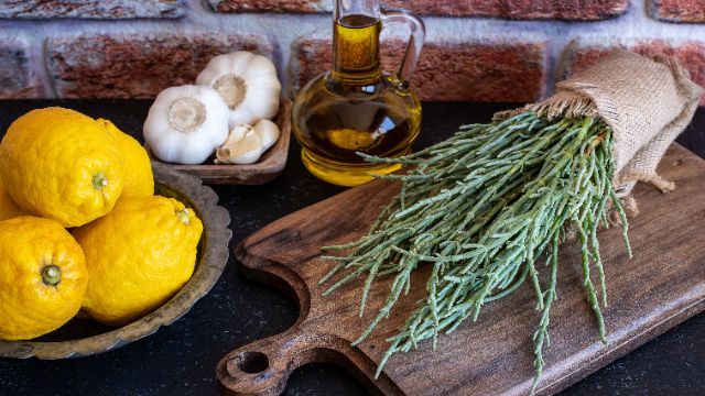 солерос, солонець