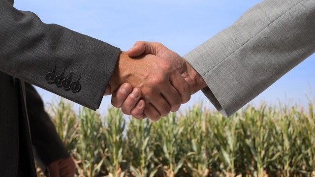 ринок землі