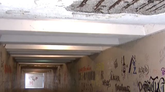 Грибок, сморід і стихійна торгівля: у якому стані підземні переходи Києва