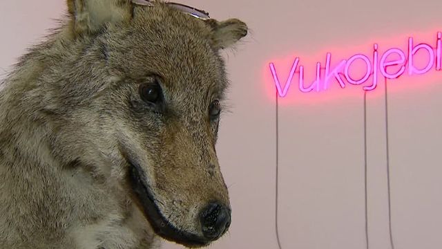 PinchukArtCentre відкрилась провокативна виставка із лайливим словом у назві