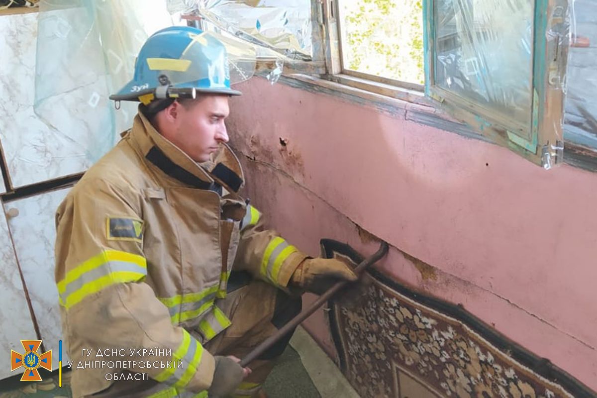 кажани Кажани на Дніпропетровщині