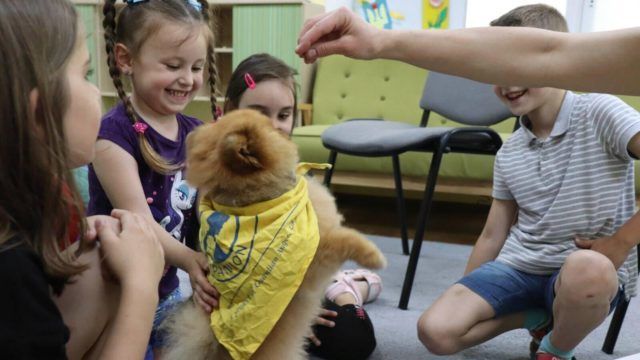 Каністерапія: як собаки лікують дітей та тих, хто повернувся з війни