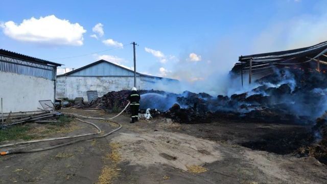 Пожежа на фермі біля села Луканівка: подробиці пожежі