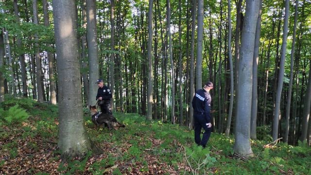 На Закарпатті знайшли чотирьох дітей, які вночі заблукали в лісі