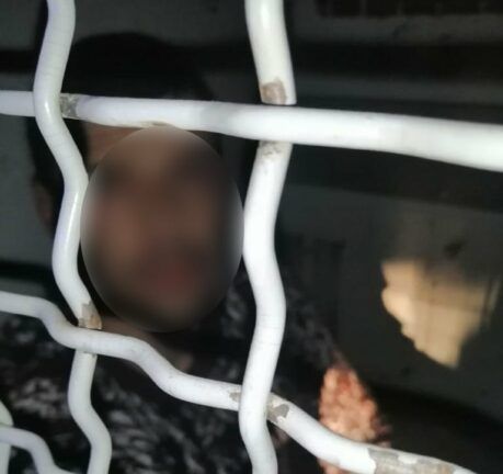 Напад на дітей у Глевасі