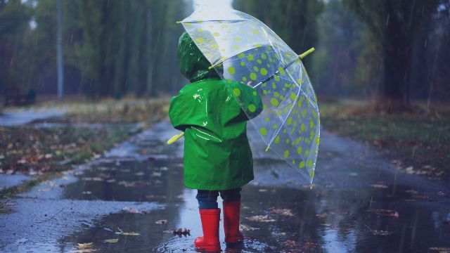 Погода на 14 октября в Украине – прогноз погоды на Покров