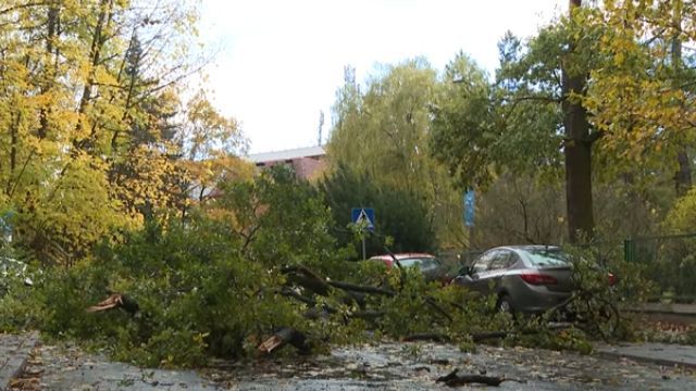 Ураган в Польше: четыре человека погибли, среди них 43-летний украинец