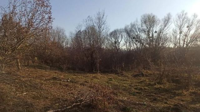 В Винницкой области во время охоты на дичь травмировался ребенок