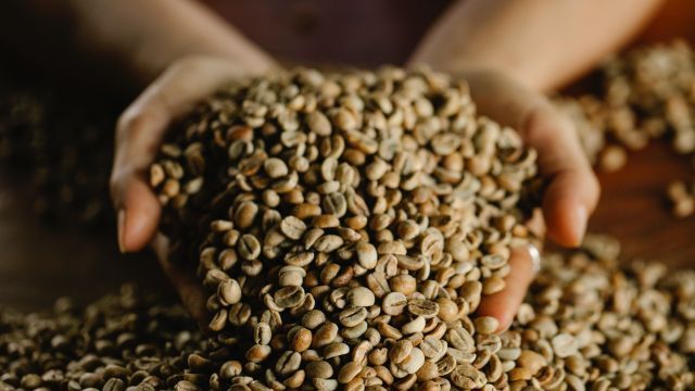 Вимикають радари, але їх фіксує супутник: до Туреччини заходять кораблі РФ з вкраденим українським зерном