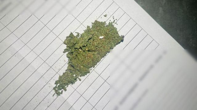 На Львівщині українець намагався провезти канабіс у взутті до Польщі