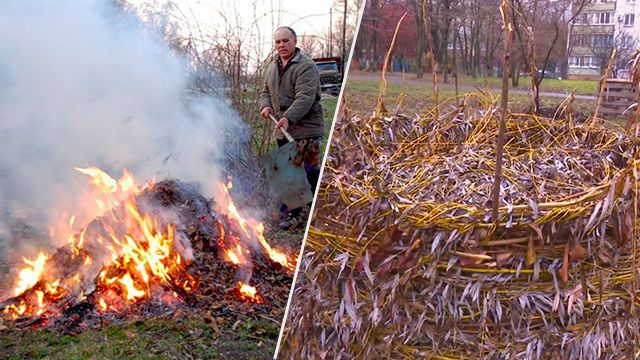 Не сжигай, а переделывай: как превратить листву в удобрение