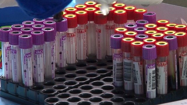 Яких елементів не вистачає людині: health-tech платформа моніторингу самопочуття в Україні