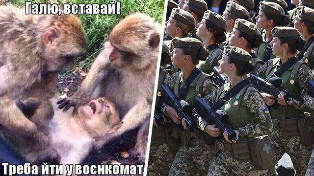Галю, вставай! Треба йти у військомат: реакція українців на військовий облік для жінок
